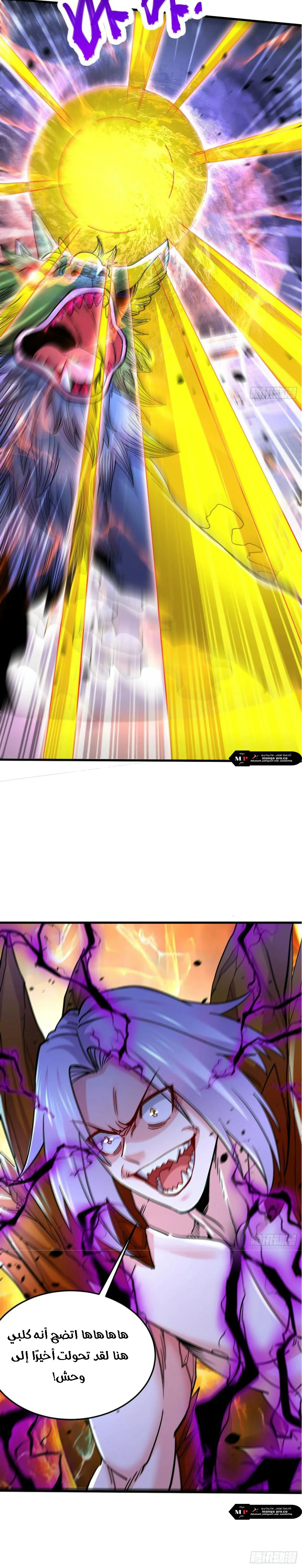 Chapter Image 11