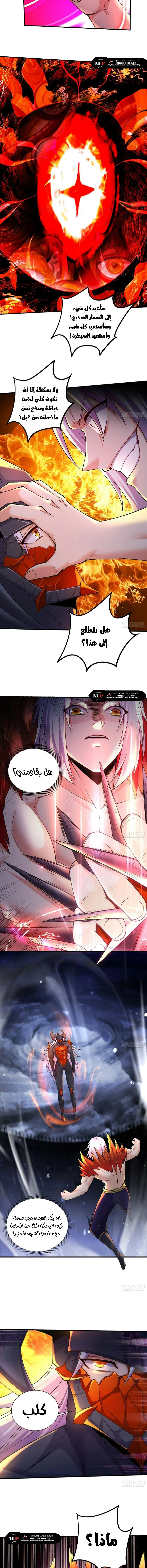 Chapter Image 5