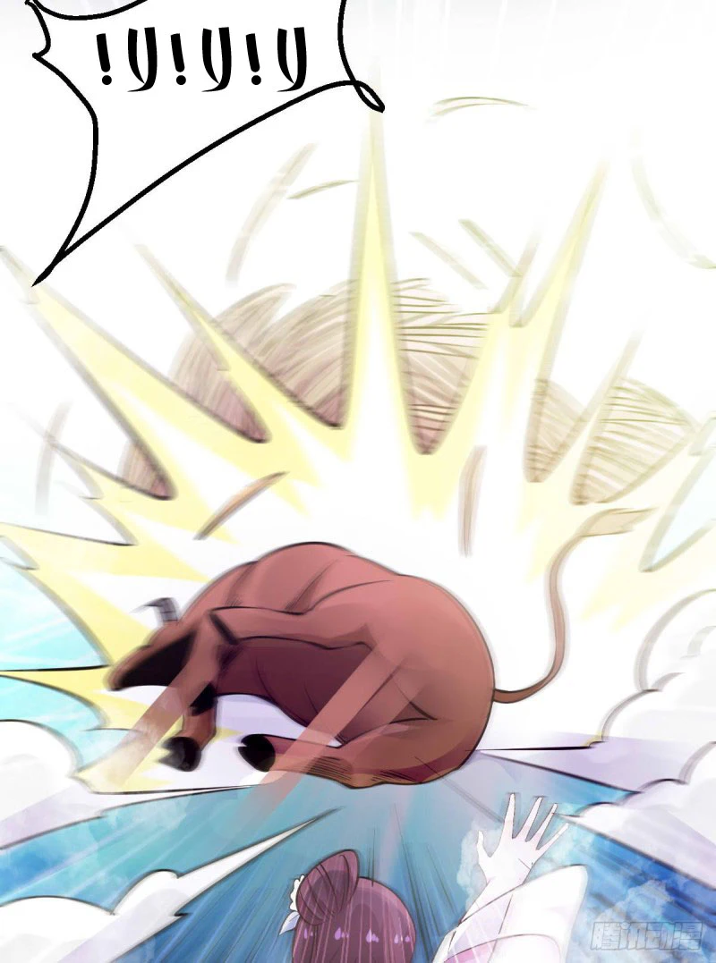 Chapter Image 12