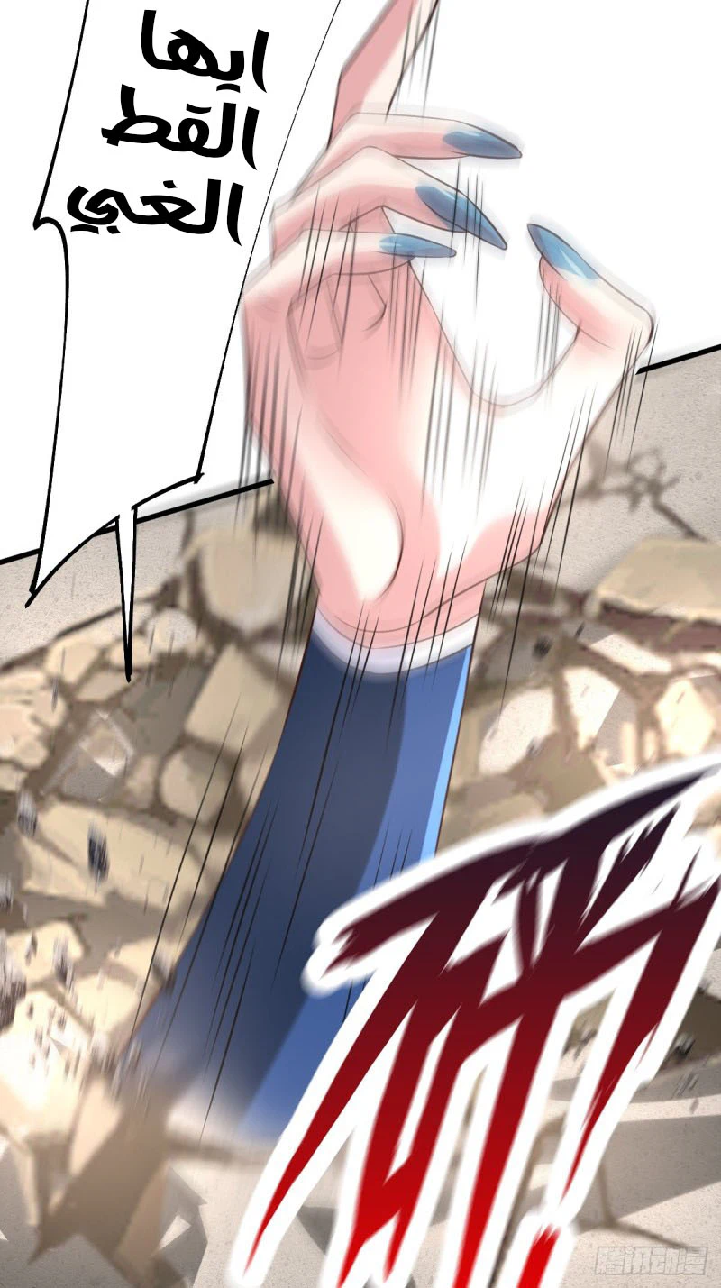 Chapter Image 17