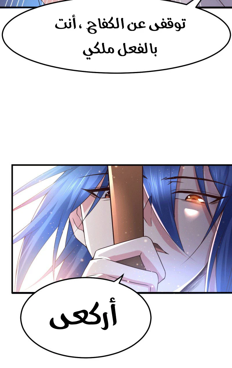 Chapter Image 17