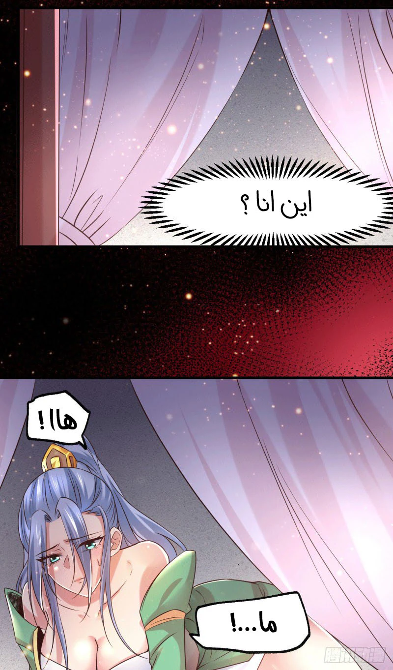 Chapter Image 5