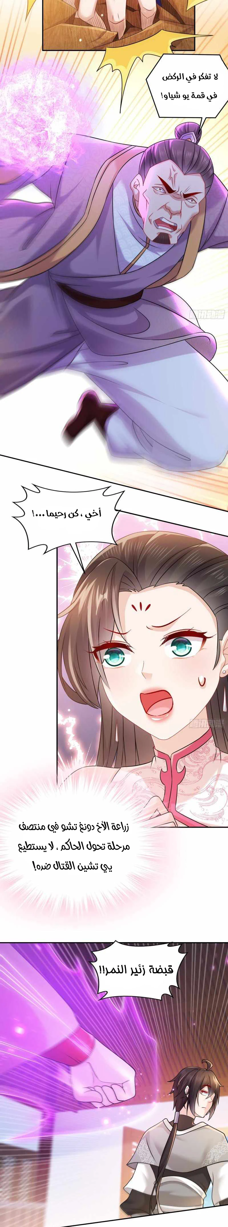 Chapter Image 4