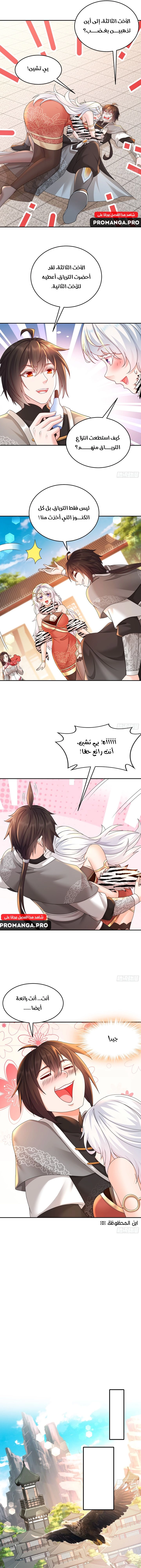 Chapter Image 5