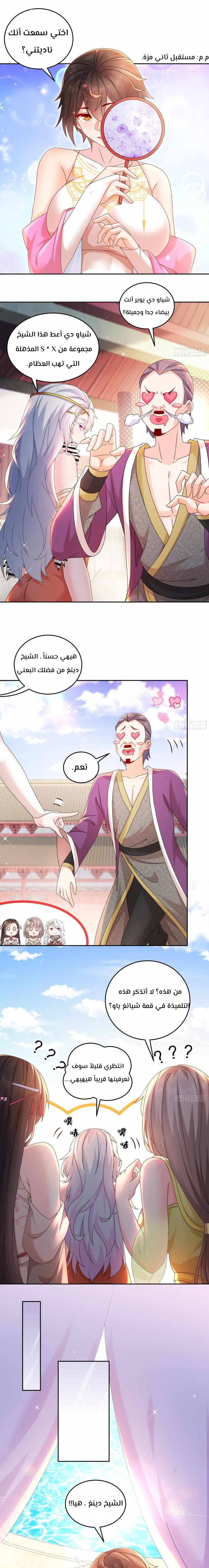 Chapter Image 5