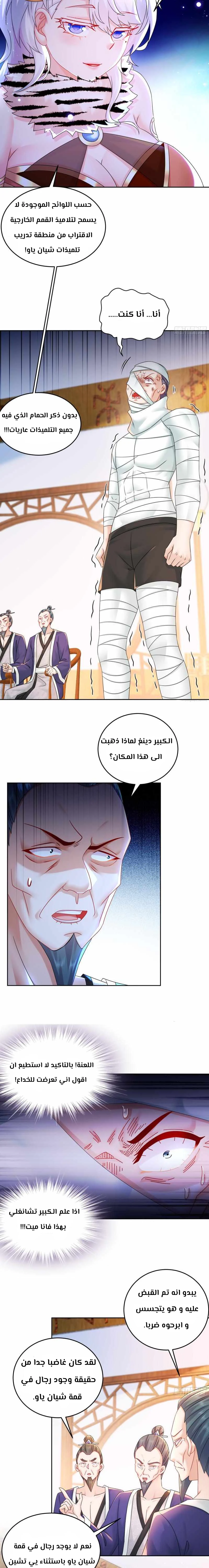Chapter Image 3