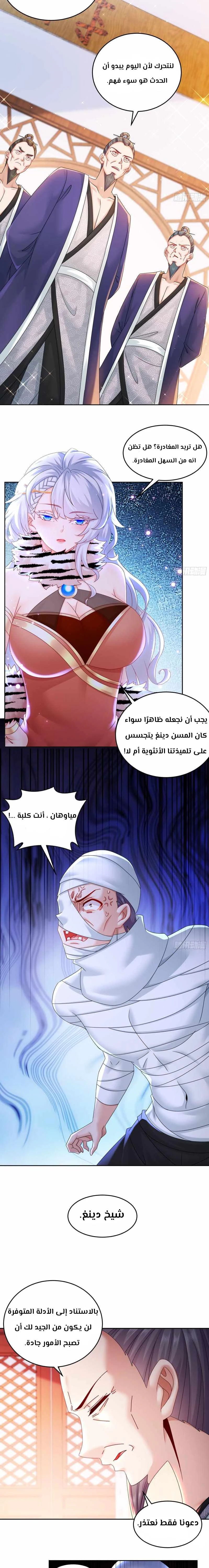 Chapter Image 4