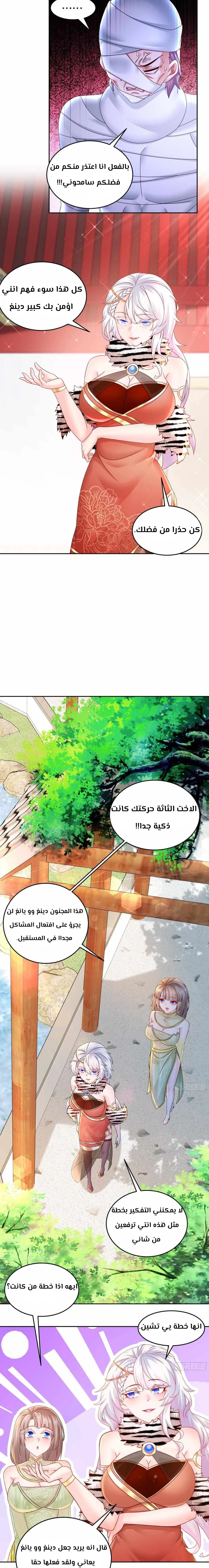 Chapter Image 5