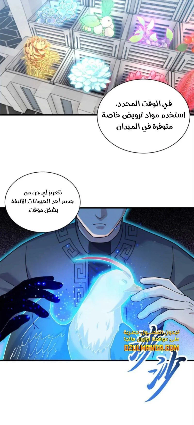 Chapter Image 10