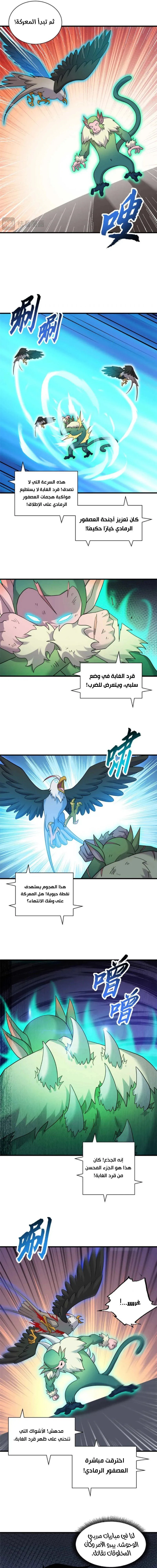 Chapter Image 11