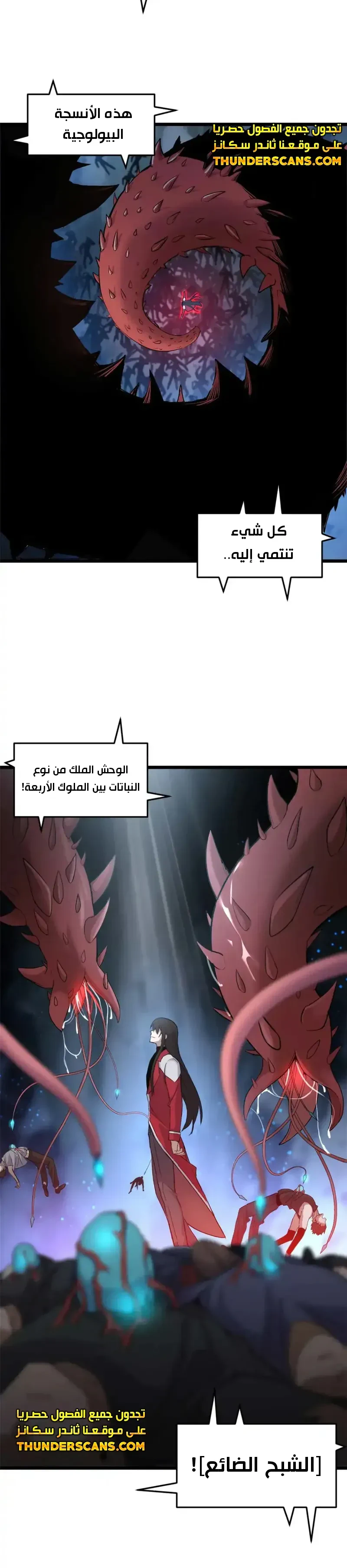 Chapter Image 11