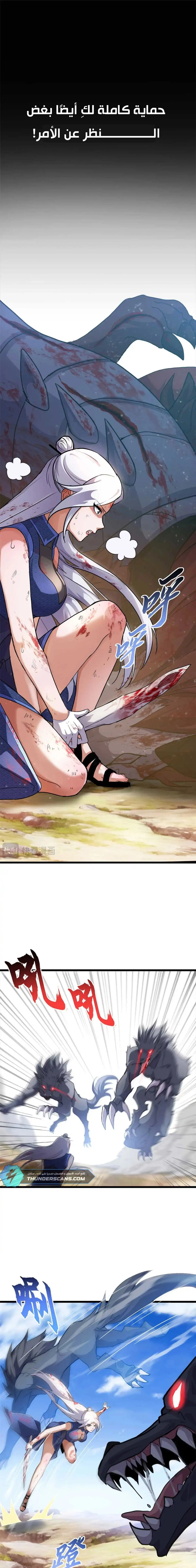 Chapter Image 5