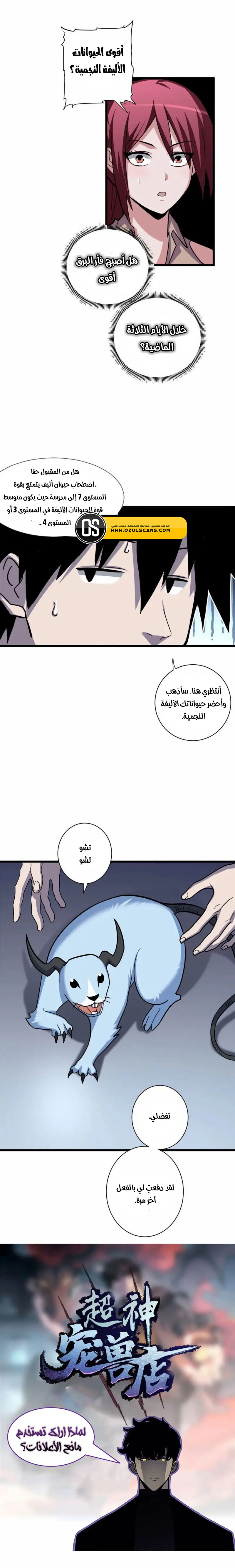 Chapter Image 4