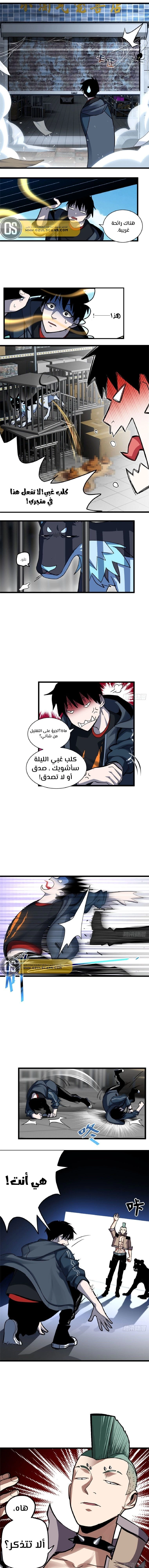 Chapter Image 11