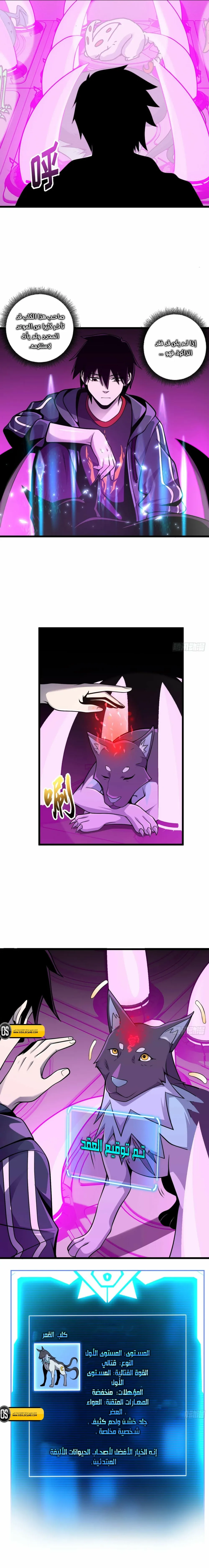 Chapter Image 6