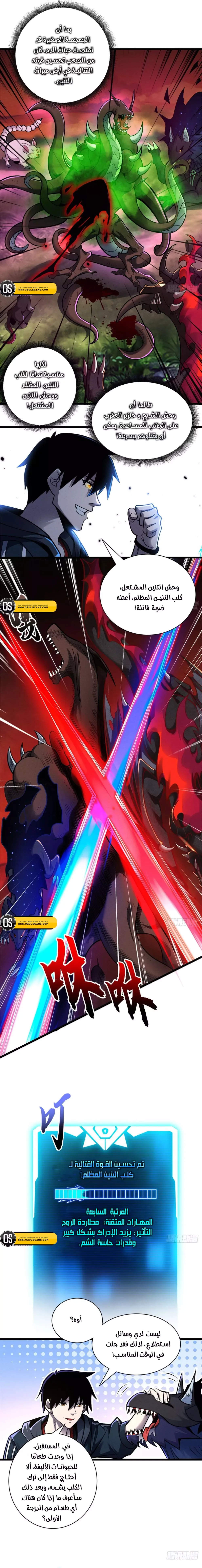 Chapter Image 4