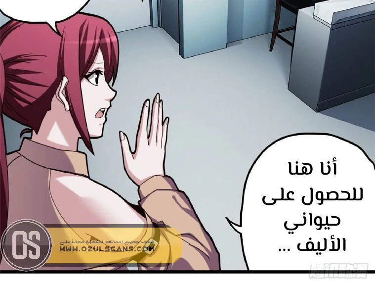 Chapter Image 4