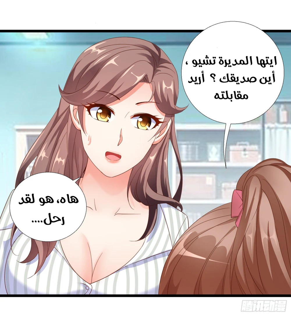 Chapter Image 4