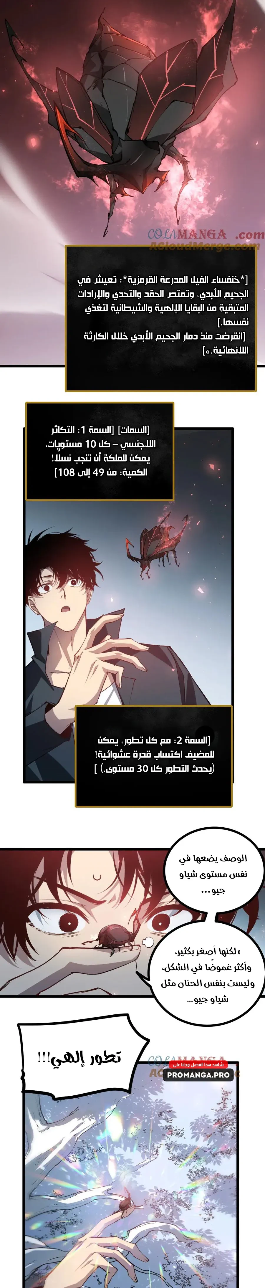 Chapter Image 6