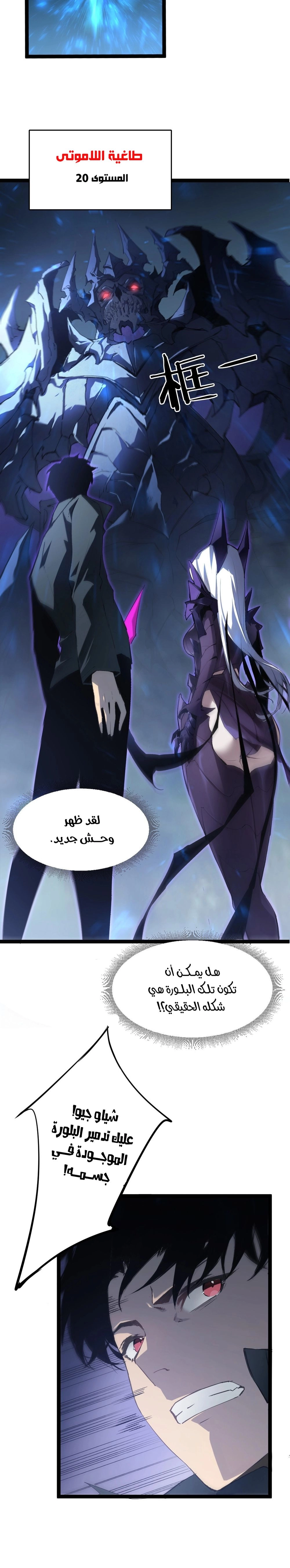 Chapter Image 21