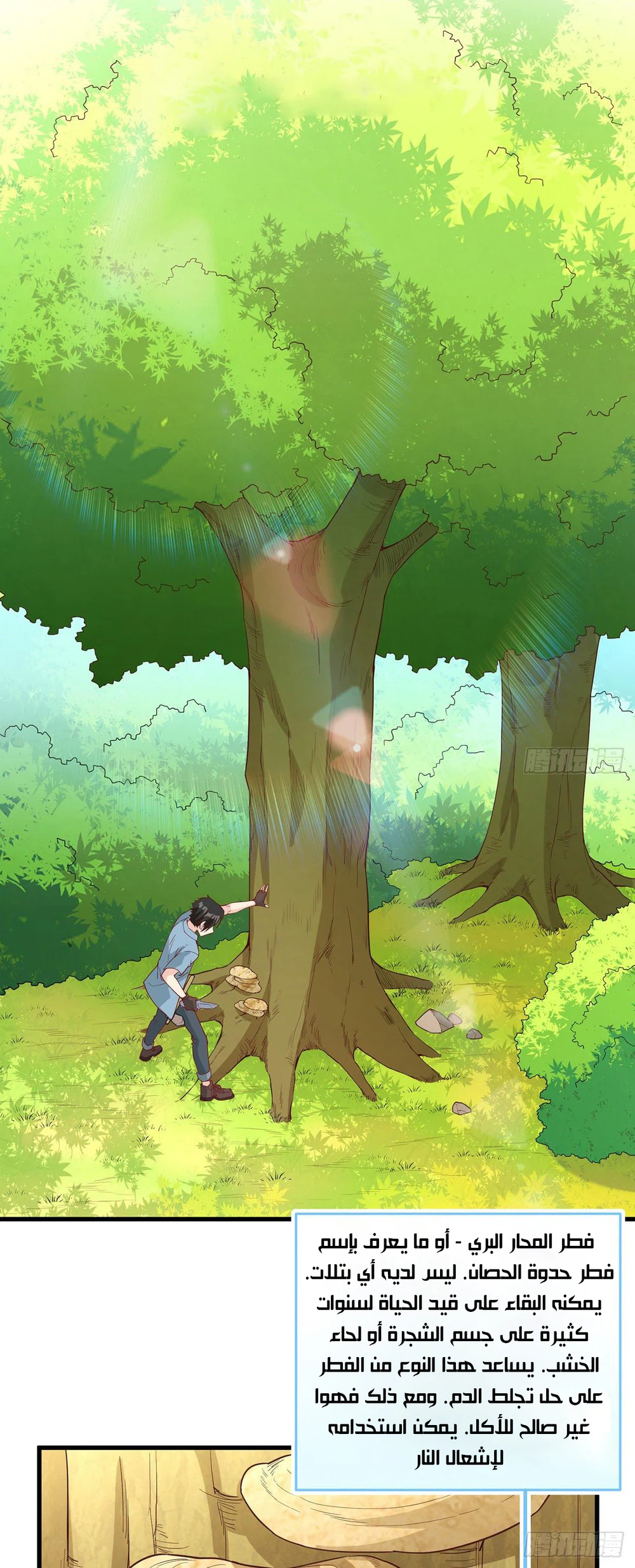 Chapter Image 1