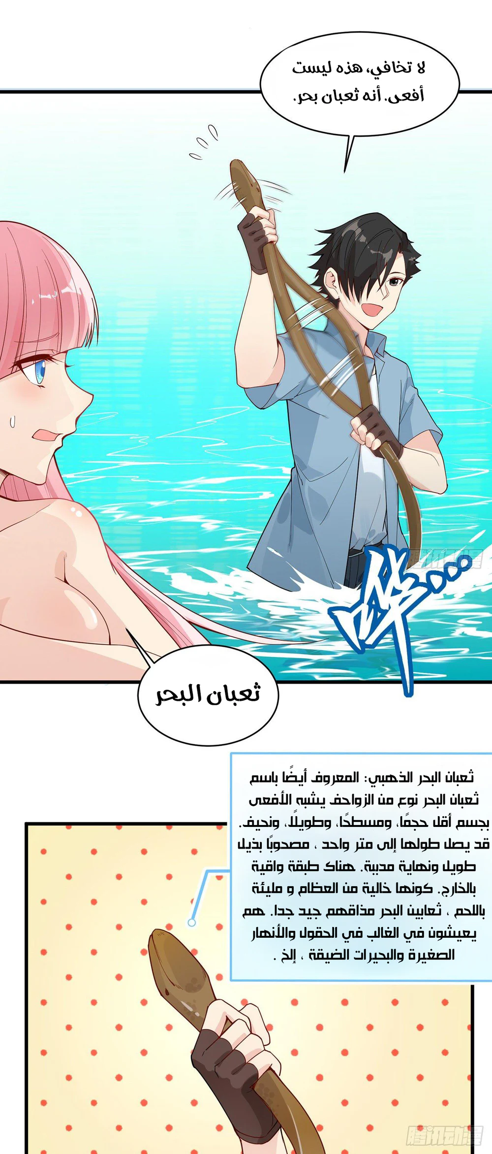 Chapter Image 5
