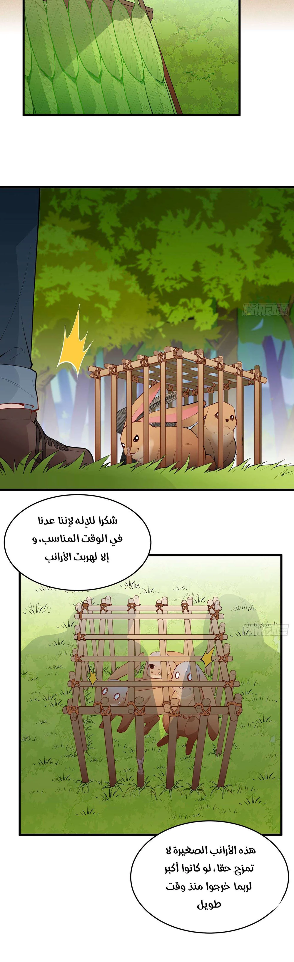 Chapter Image 13