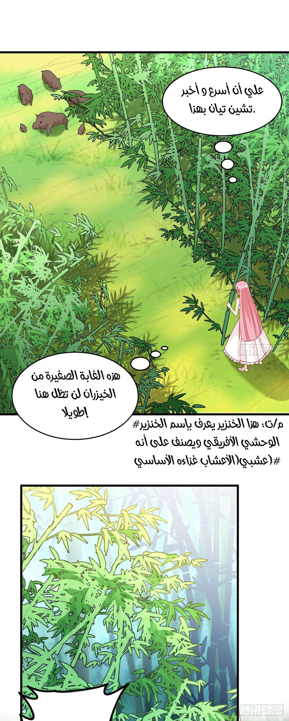 Chapter Image 6