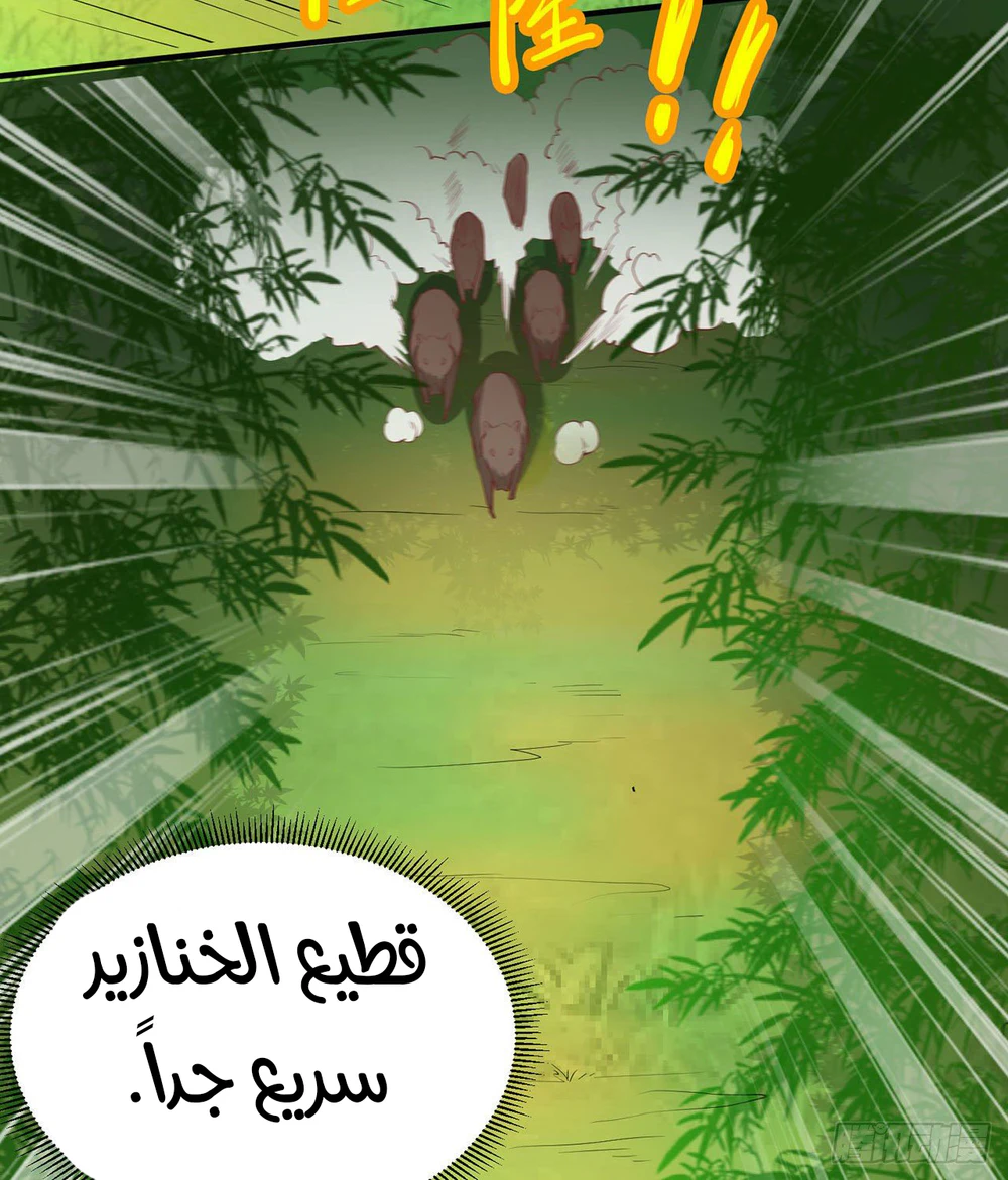 Chapter Image 13