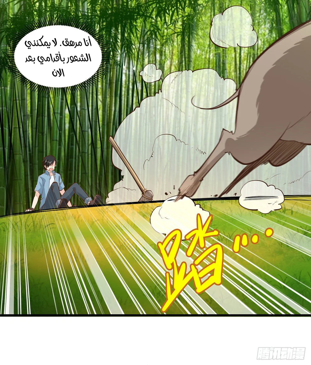 Chapter Image 15