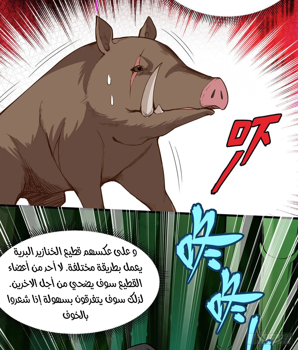 Chapter Image 7