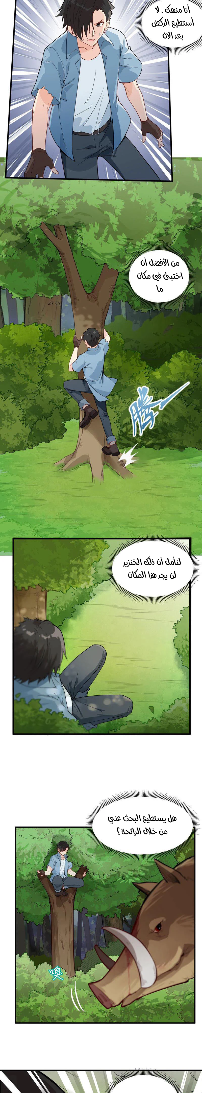 Chapter Image 4