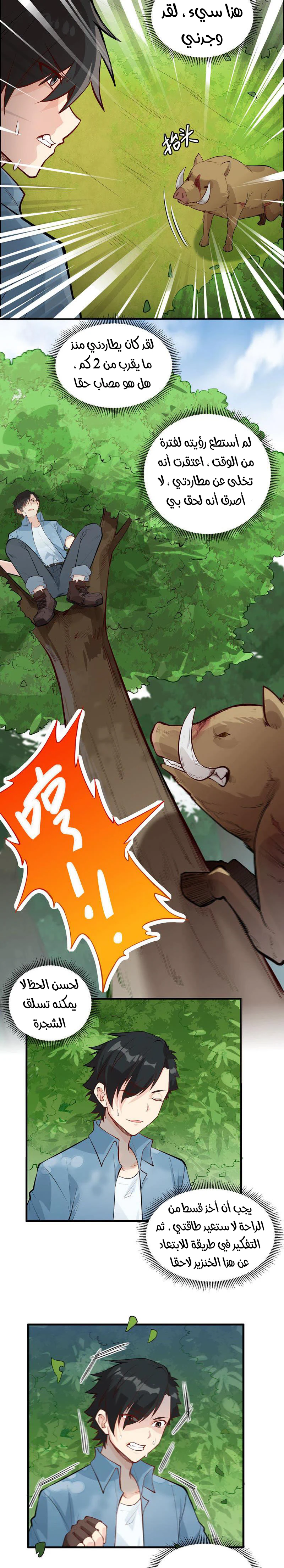 Chapter Image 5