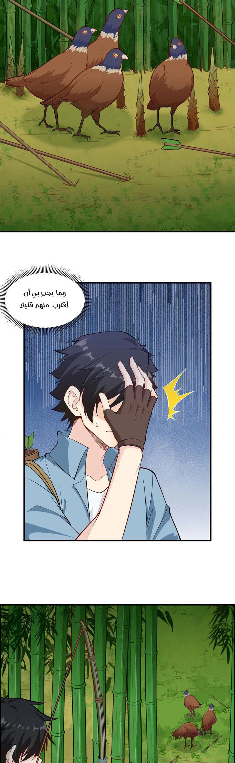 Chapter Image 11