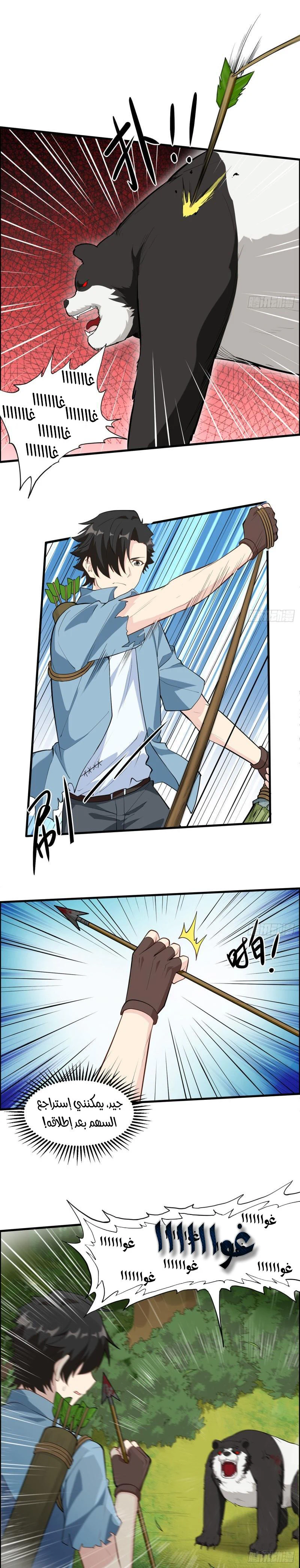 Chapter Image 4