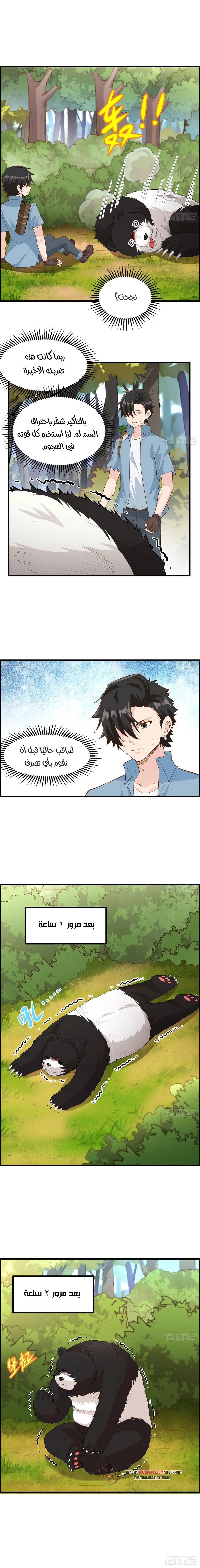 Chapter Image 4