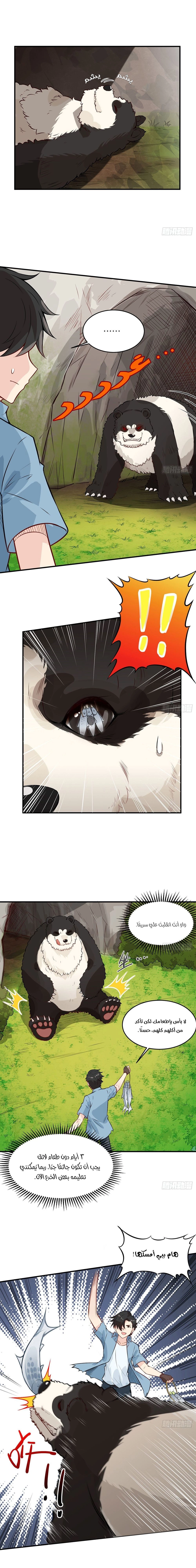 Chapter Image 5