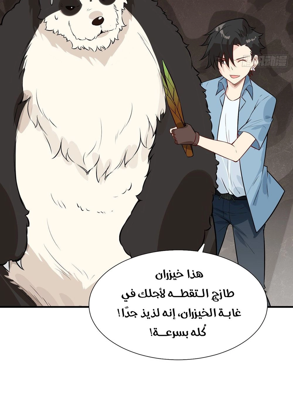 Chapter Image 2