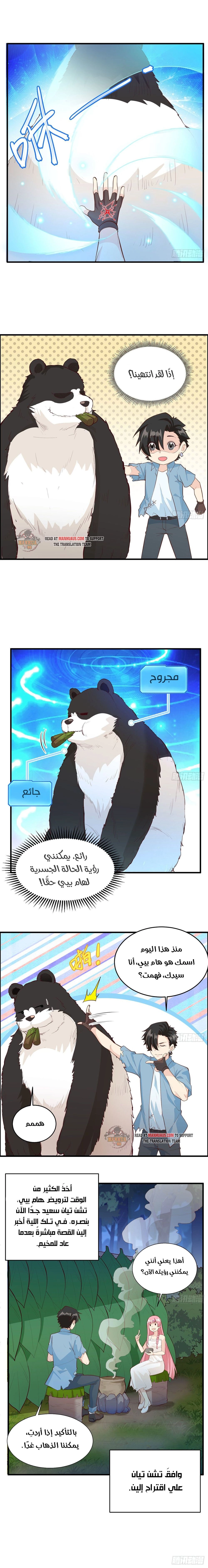 Chapter Image 5