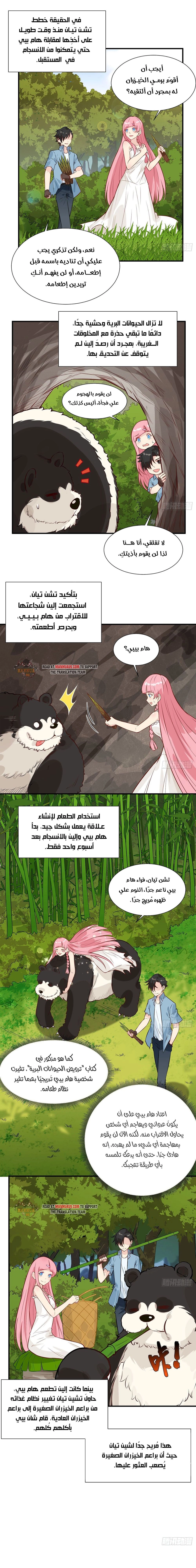 Chapter Image 6