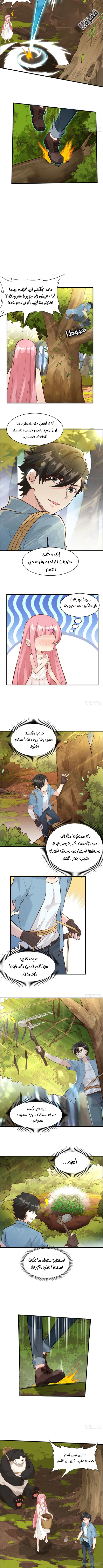 Chapter Image 2