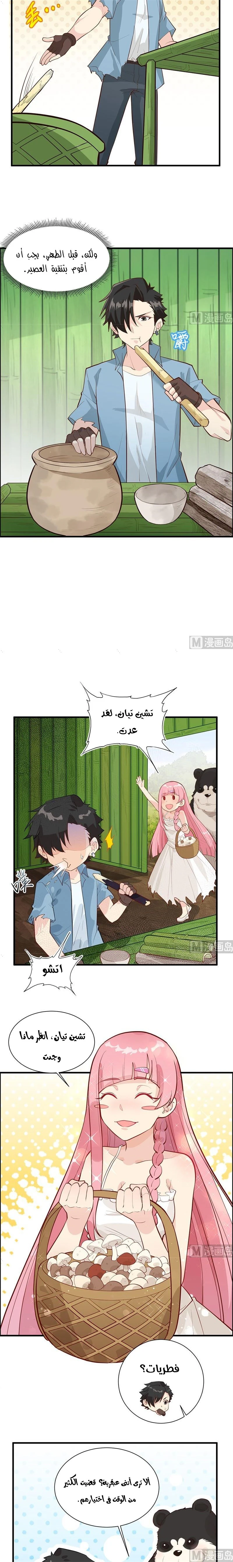 Chapter Image 4