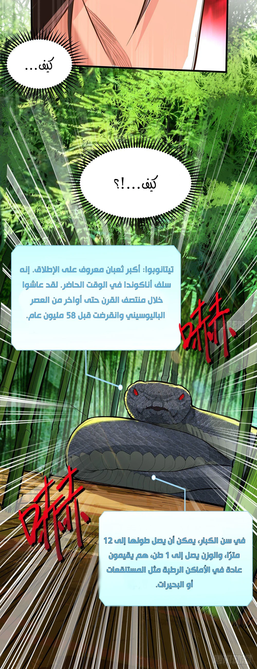 Chapter Image 21