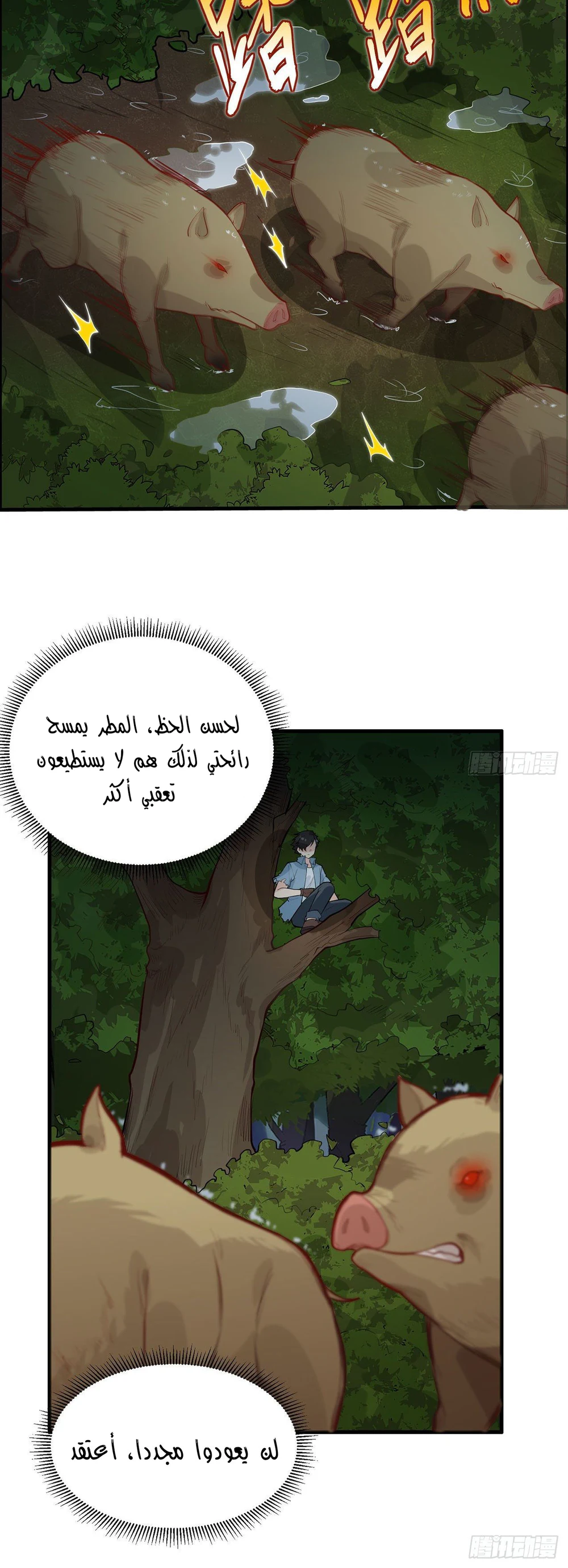 Chapter Image 5
