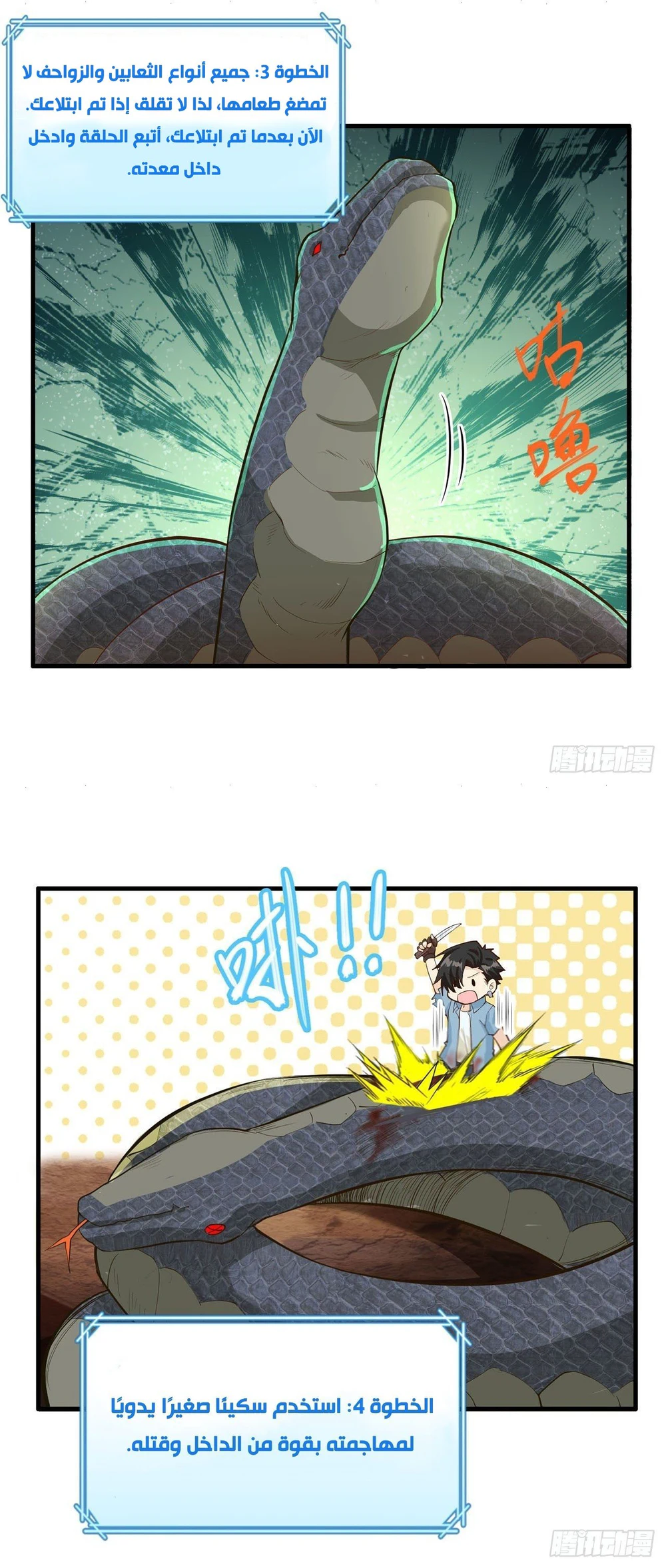 Chapter Image 5