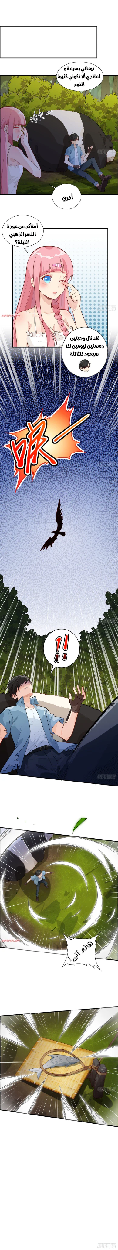 Chapter Image 5