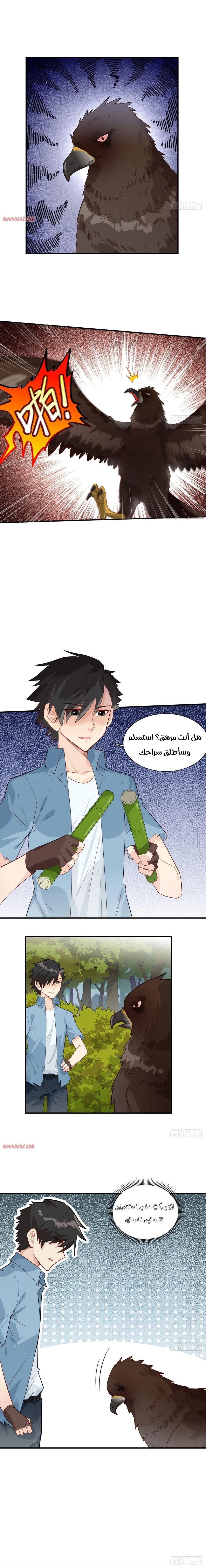 Chapter Image 9