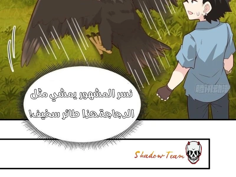 Chapter Image 5