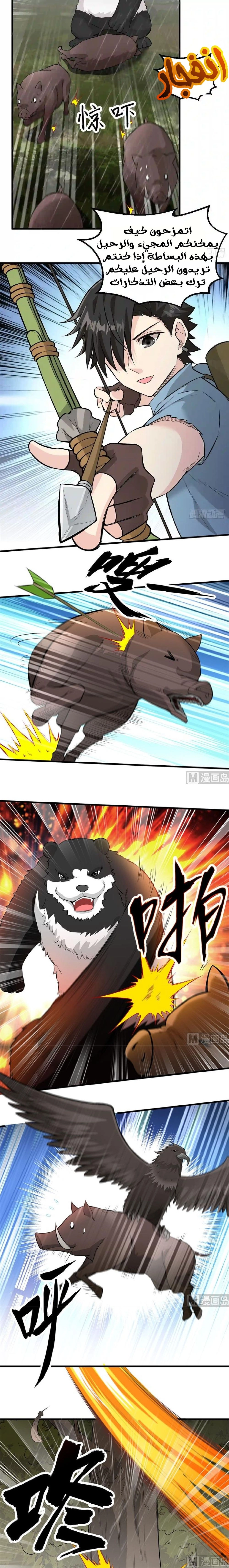 Chapter Image 4