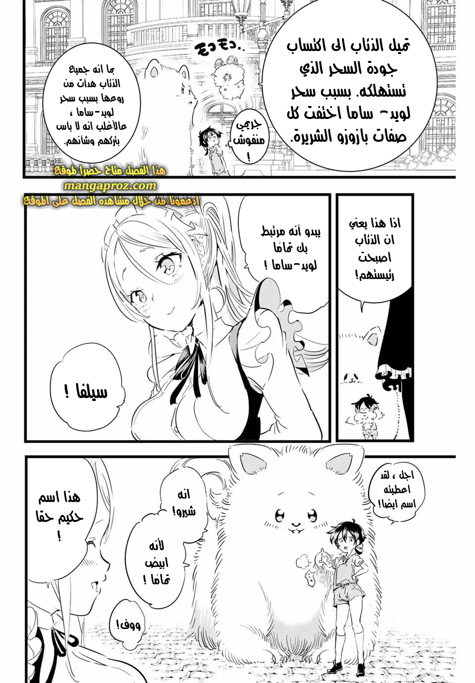Chapter Image 11